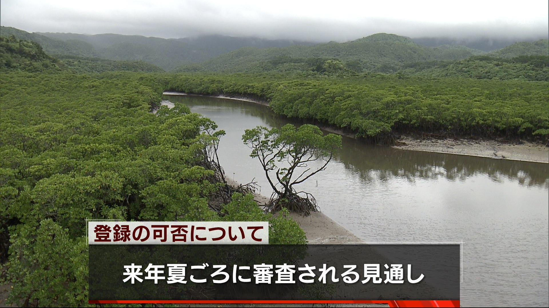 世界自然遺産に再挑戦　推薦書を提出