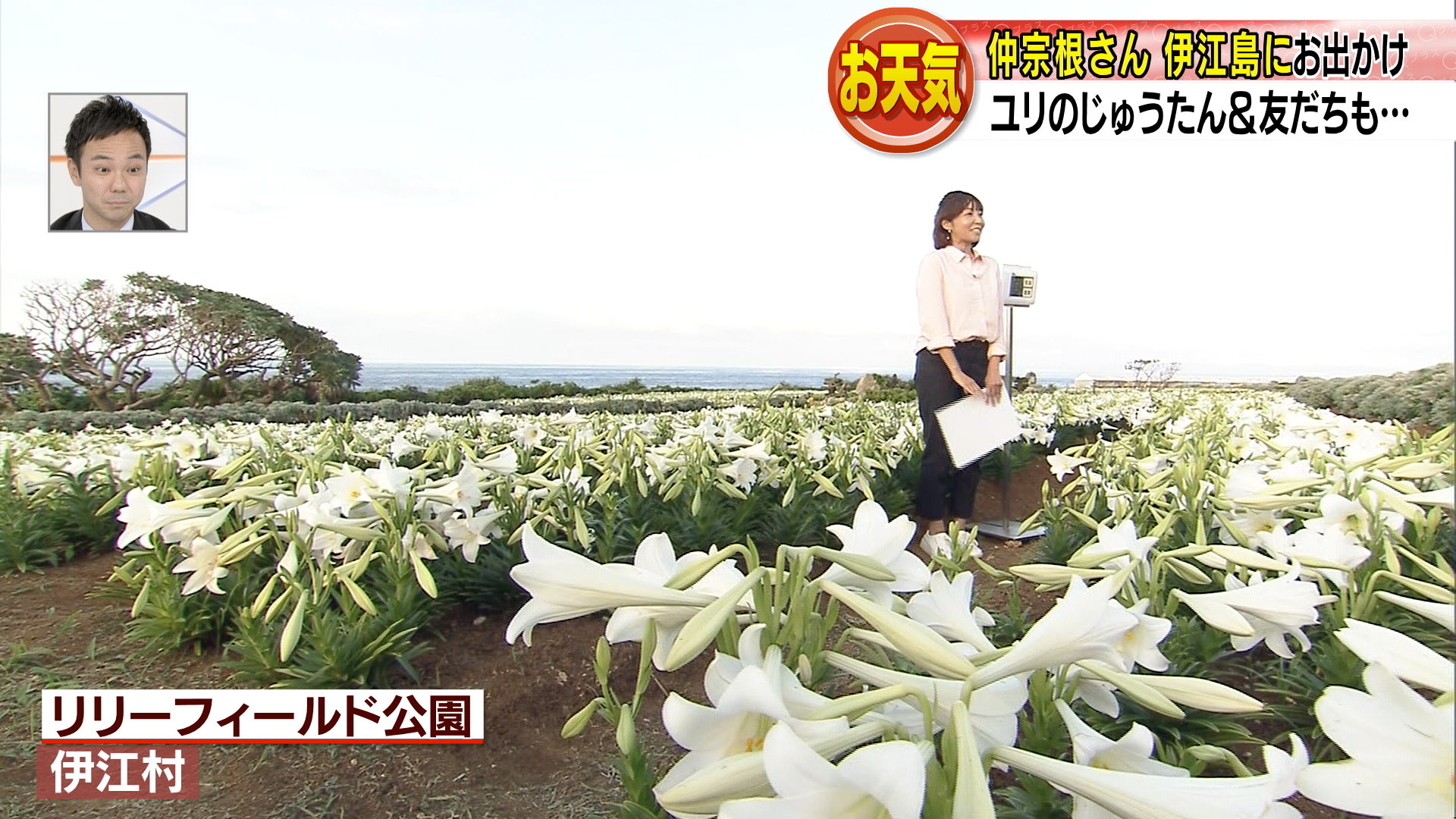 中継　伊江島ゆり祭りの会場からお天気