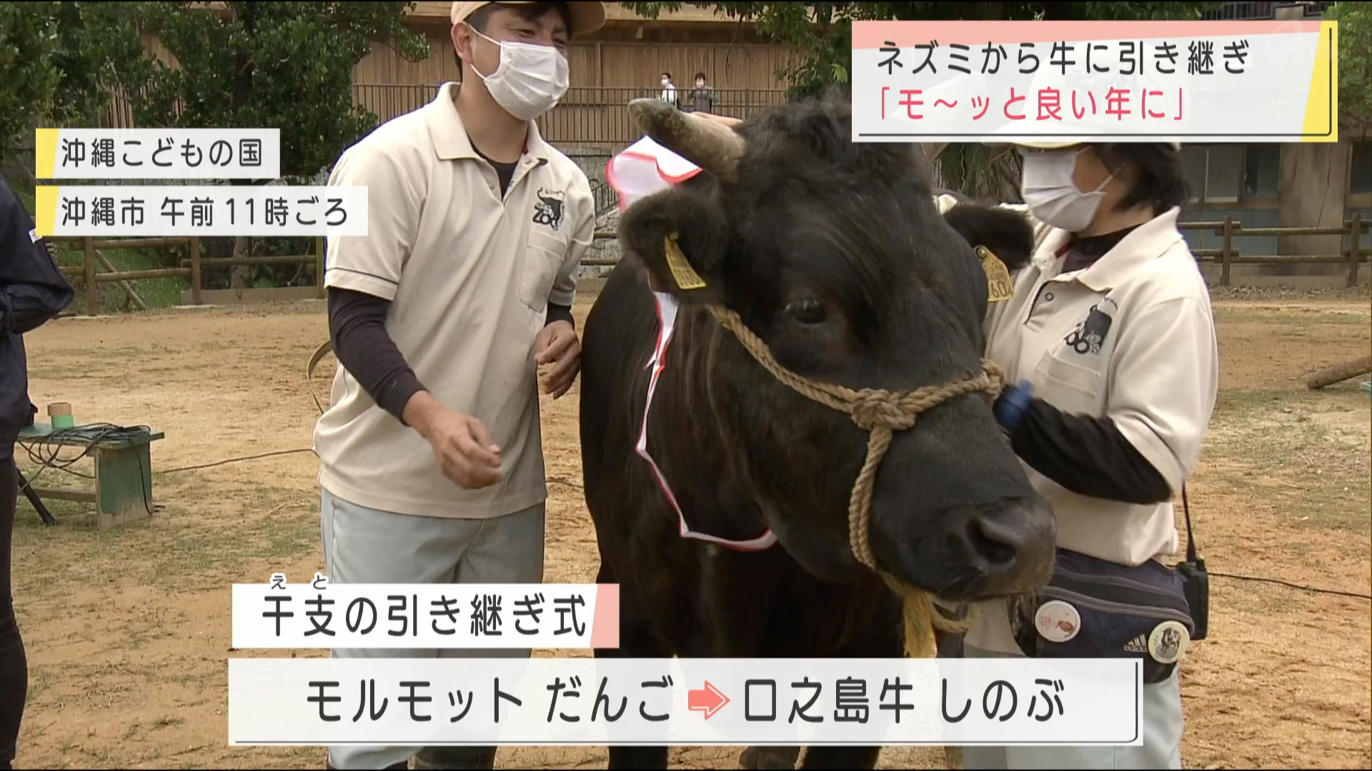 ねずみから牛へ　干支の引き継ぎ式