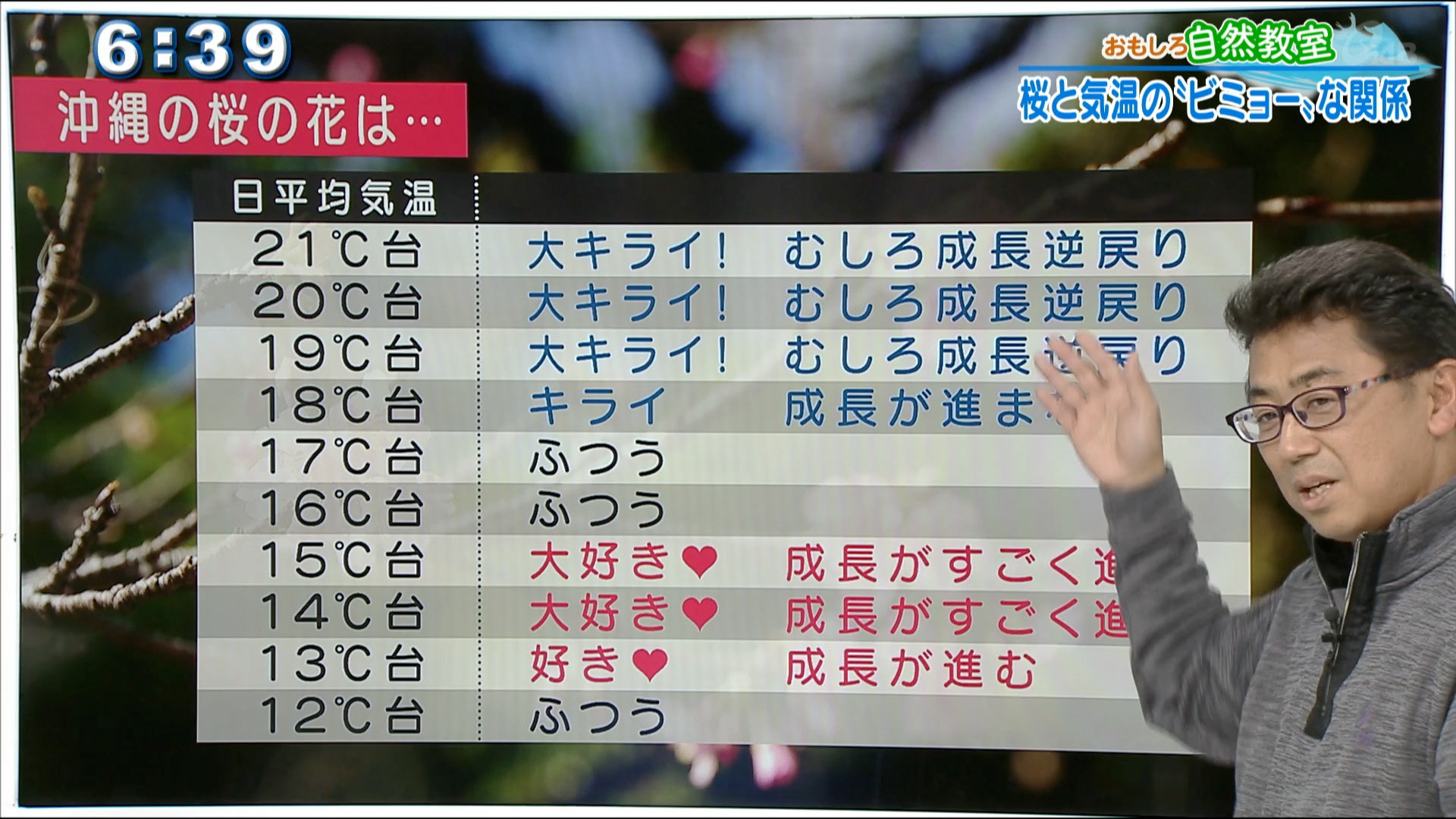 おもしろ自然教室 桜と気温の「ビミョー」な関係