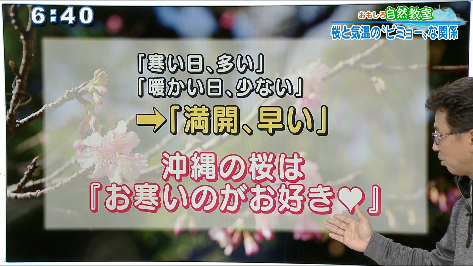 おもしろ自然教室 桜と気温の「ビミョー」な関係