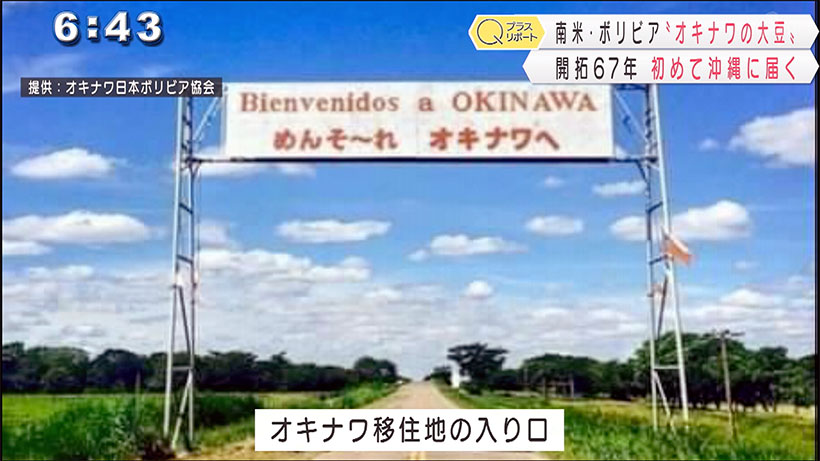 オキナワと沖縄をつなぐ絆　オキナワ移住地から大豆を初輸出