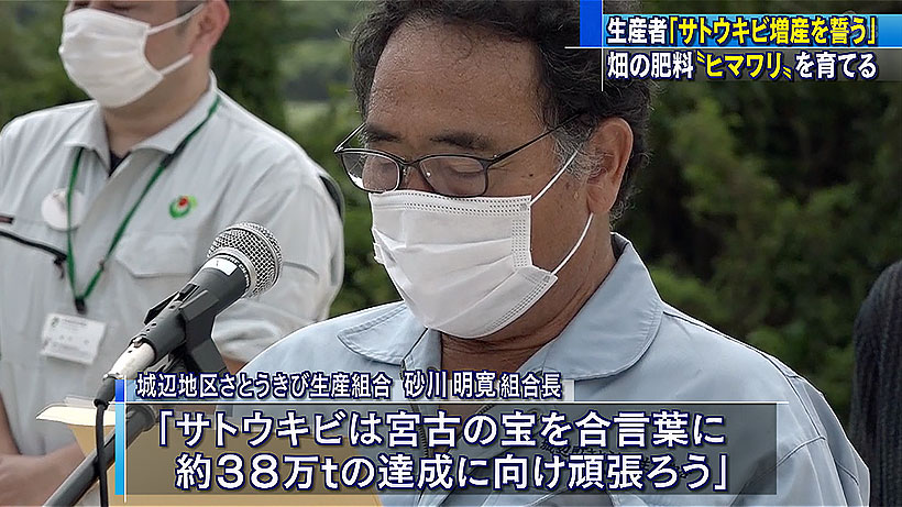 「さとうきびの日」に宮古島市で畑にヒマワリの種まき