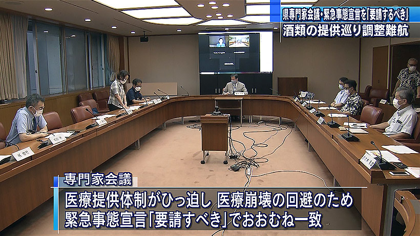 県専門家会議　緊急事態宣言「要請すべき」で概ね一致