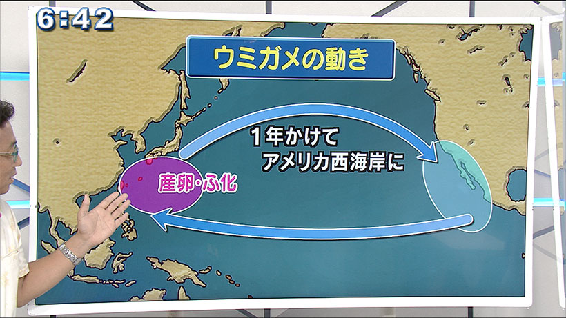 気象予報士/テルさんの おもしろ自然教室#9「世界 ウミガメの日」