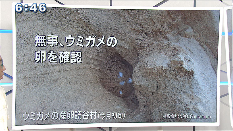 気象予報士テルさんのおもしろ自然教室#9「世界 ウミガメの日」