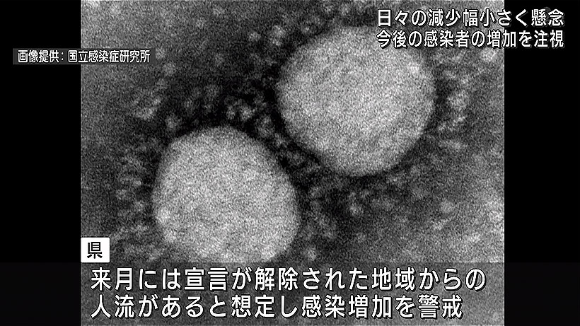 県内の感染者数高止まりに懸念