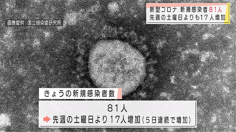 新型コロナ 新規感染者81人