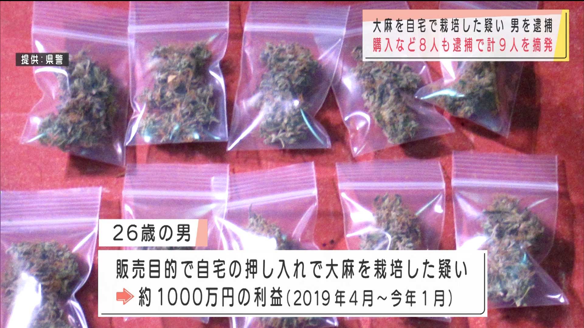 沖縄県警 大麻を栽培した疑いで男を逮捕 購入した8人も摘発
