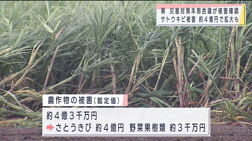 台風６号災害対策本部会議で被害状況確認