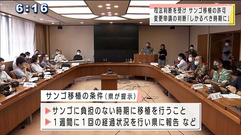 玉城知事が辺野古沖サンゴ移植「許可」へ