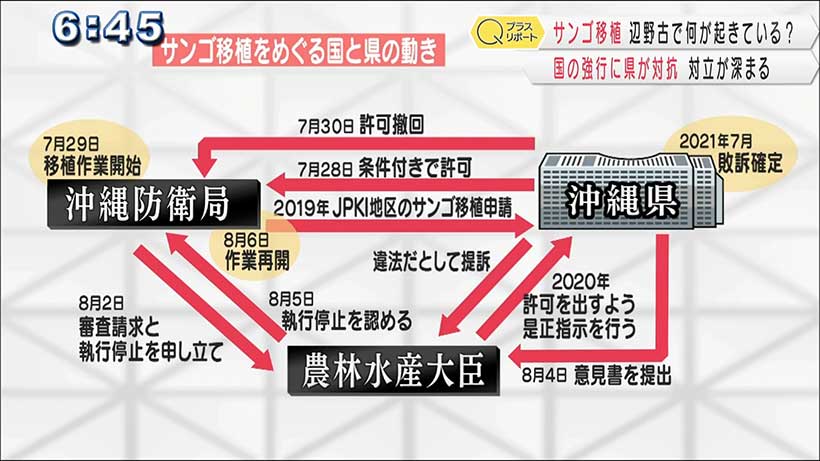 県と国　サンゴ移植で深まる溝