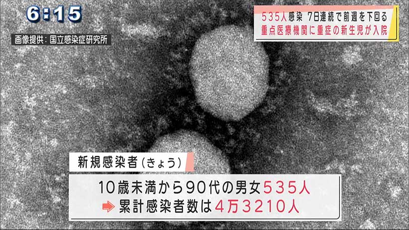 沖縄　新型コロナ新たに５３５人感染　新生児で重症も