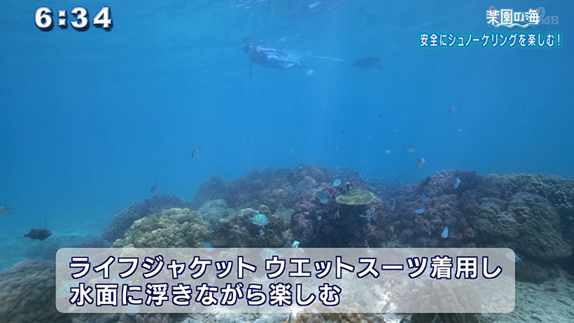 楽園の海 安全にシュノーケリングを楽しむ