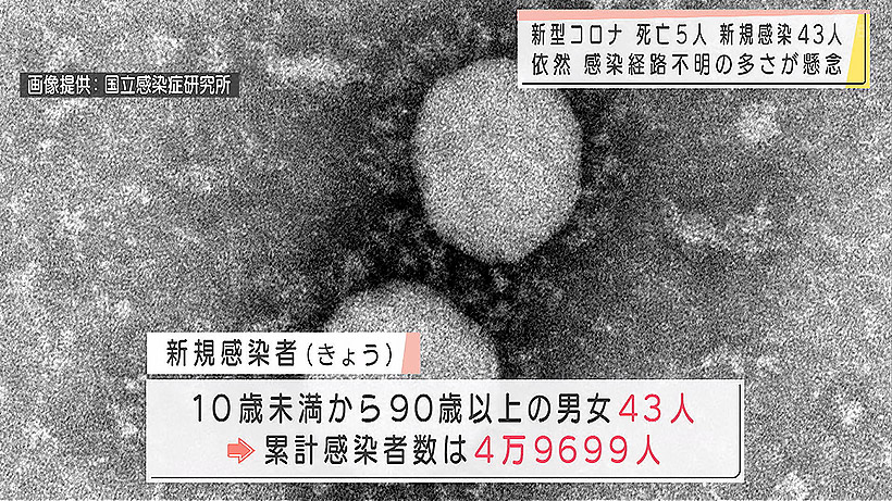 新型コロナ 新規感染者43人死亡5人