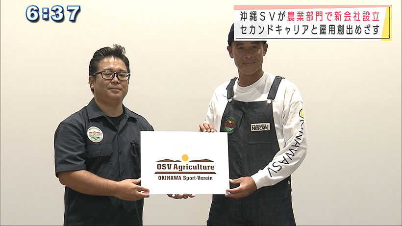 沖縄ＳＶが農業会社を設立