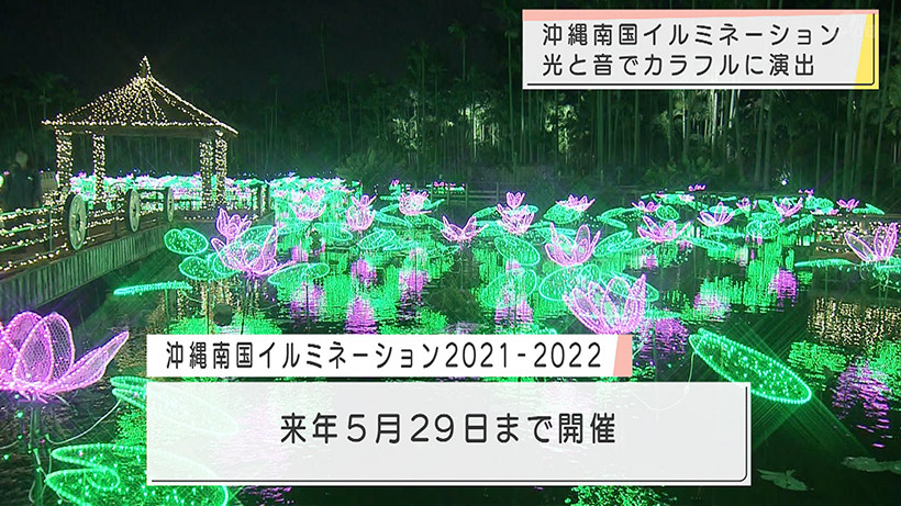 東南植物楽園イルミネーション始まる Qab News Headline