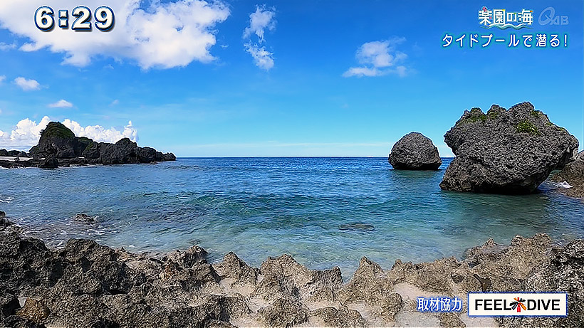 楽園の海 タイドプールで潜る！