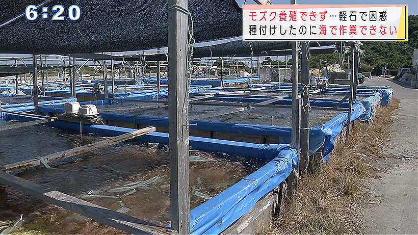 うるま市の漁港 軽石でモズク養殖に影響