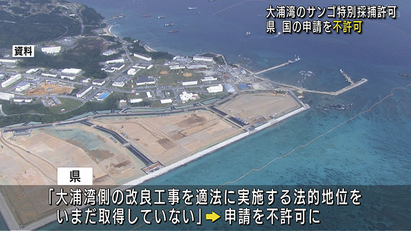 県 大浦湾のサンゴ特別採捕許可を不許可に