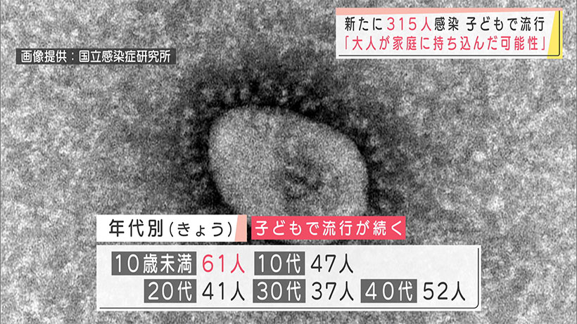 沖縄 新型コロナ新たに３１５人感染