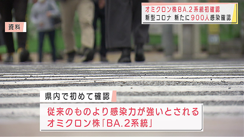 オミクロン株「BA.2系統」県内で初確認