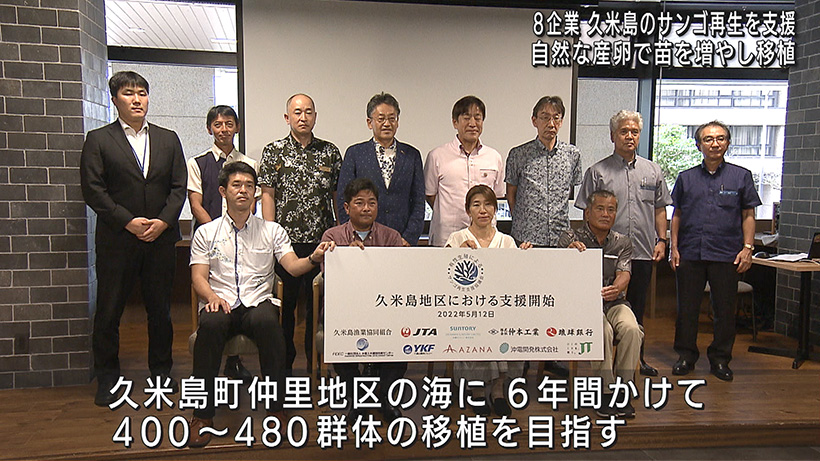 有性生殖 サンゴ再生支援協議会