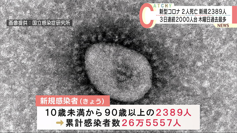 沖縄の新型コロナ 今月最多2389人感染 高齢者2人死亡