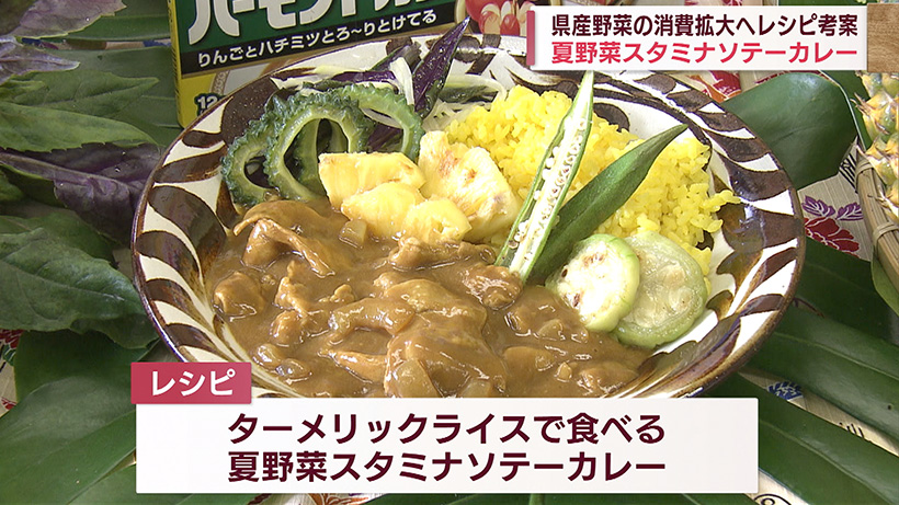 地産地消カレーのレシピ 県産野菜を支援