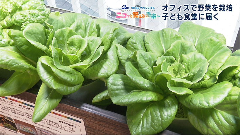 SDGsプロジェクト #5 オフィス野菜 子どもの「食」支える