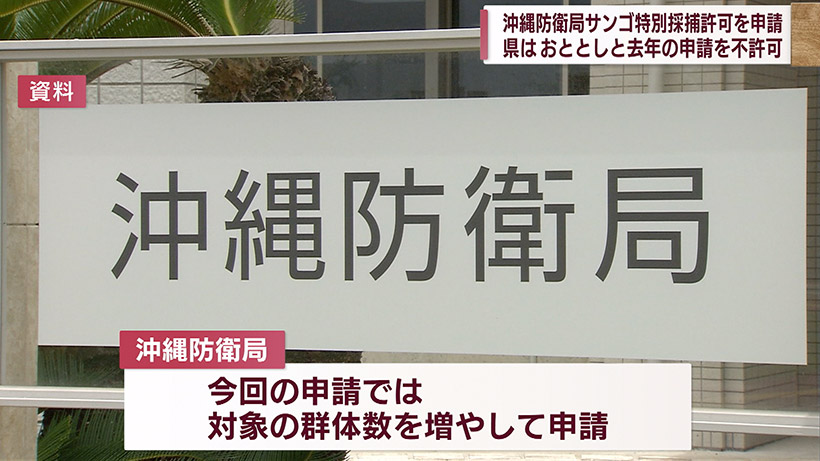 沖縄防衛局が大浦湾側のサンゴの特別採捕許可を申請