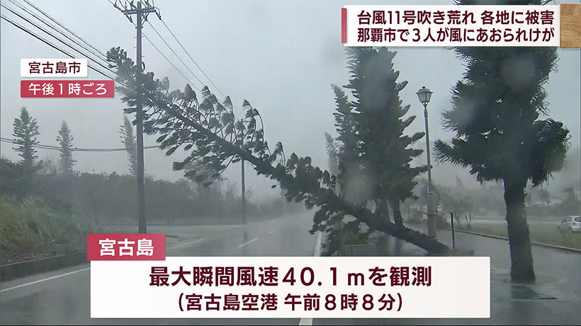 台風１１号吹き荒れ　各地で被害