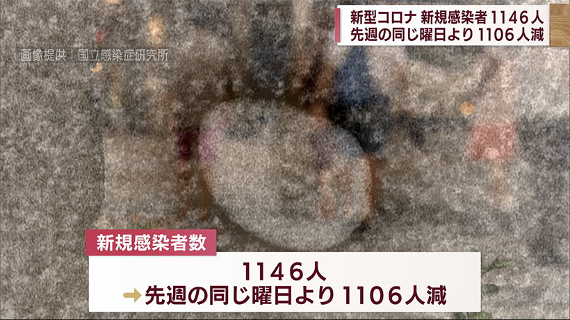 新型コロナ　新規感染者数１１４６人