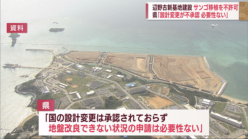 沖縄県　大浦湾のサンゴ移植を不許可「必要性が認められない」