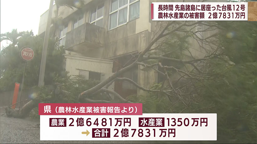 台風１２号　先島諸島の農林水産被害が２億７８００万円あまり