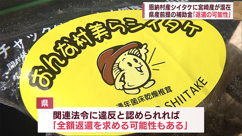沖縄産シイタケに宮崎産が混在問題　県から受給の補助金「全額返済の可能性ある」