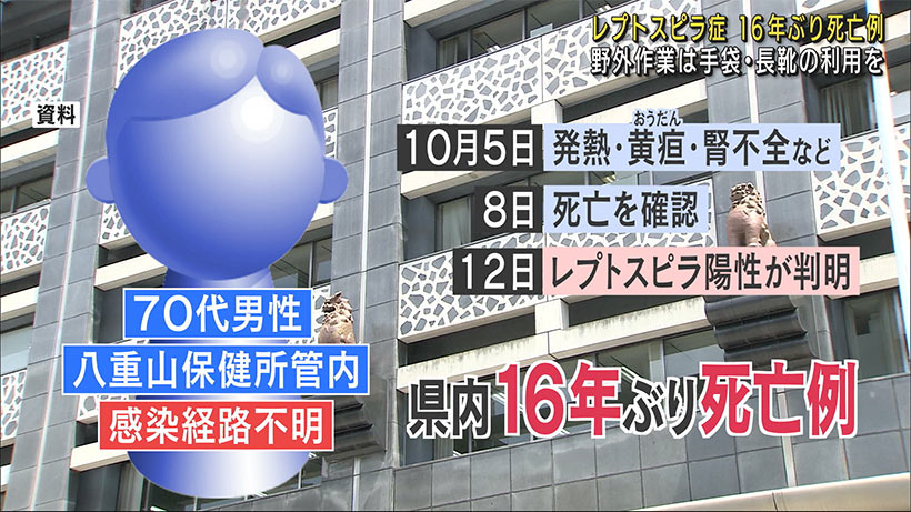 レプトスピラ症で７０代男性が死亡　沖縄県内で１６年ぶり発生