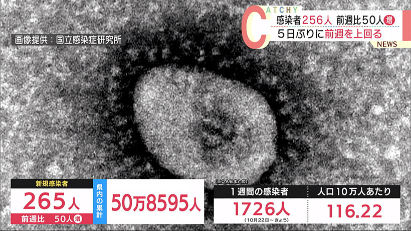 沖縄　新型コロナ新たに２６５人感染　前週を上回る