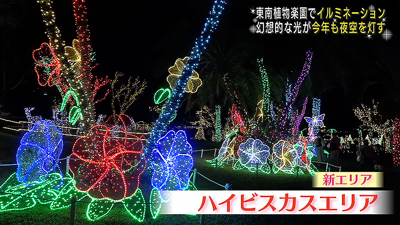 夜空彩るイルミネーション 東南植物楽園で始まる