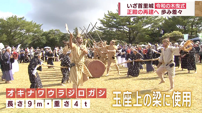 起工式まであと5日 正殿再建の木材運ぶ「木曳式」