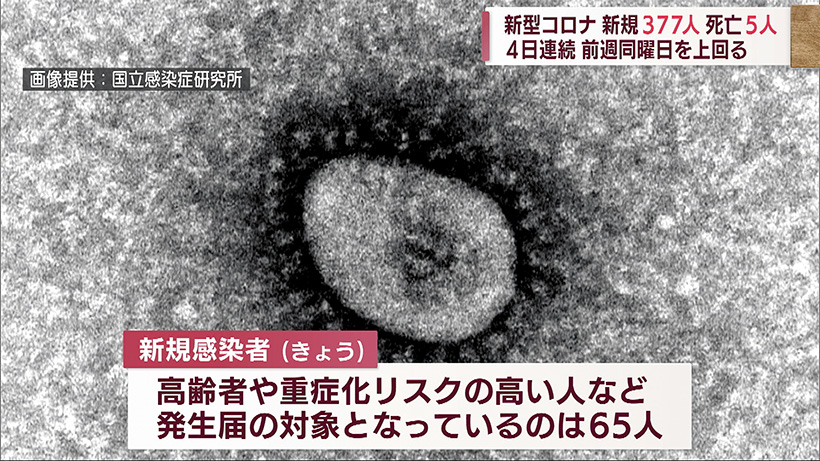 新型コロナ３７７人感染・５人死亡