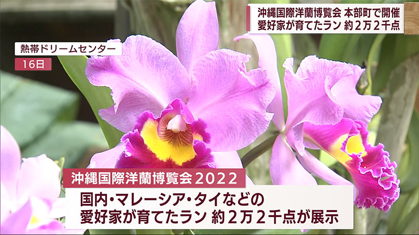 沖縄国際洋蘭博覧会　開催