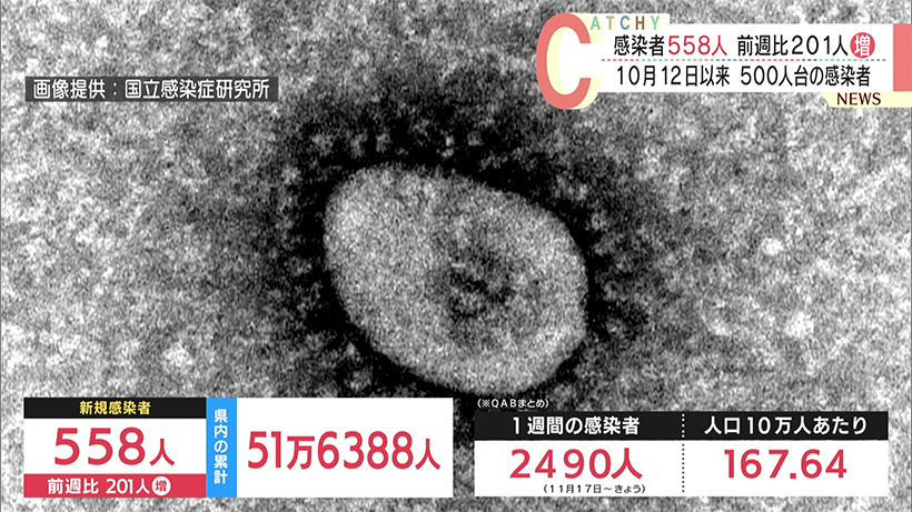 沖縄　新型コロナ新たに５５８人感染　５００人台は約４０日ぶり