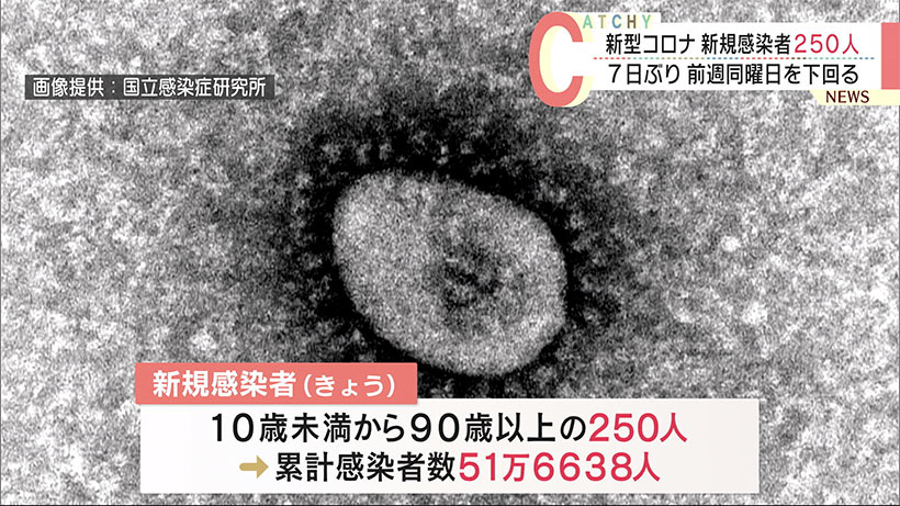 沖縄県　きょうの新型コロナ新規感染者