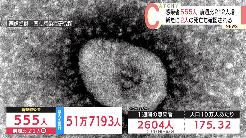 沖縄　新型コロナ新たに５５５人感染２人死亡