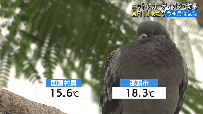 沖縄　今季一番の冷え込み　国頭村奥で１５．６度の最低気温