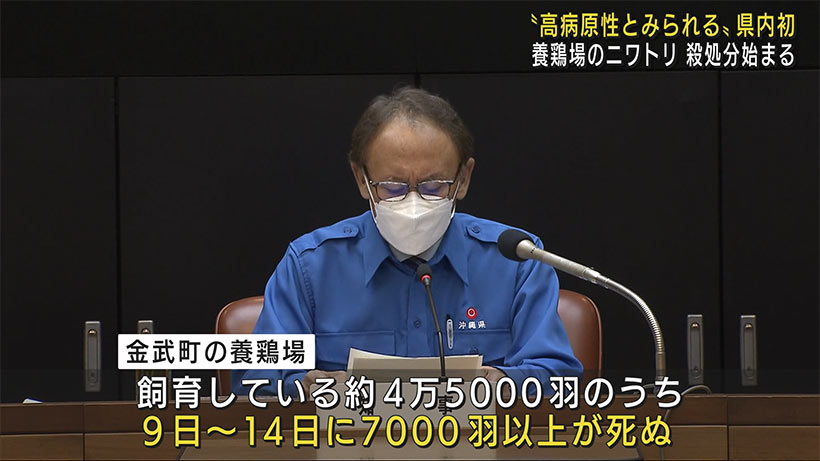 金武町で「高病原性とみられる」鳥インフルエンザ　沖縄県内で初めて確認