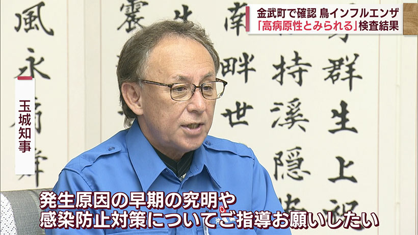 金武町で「高病原性」とみられる鳥インフルエンザ　県内初