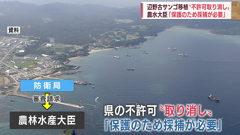 辺野古のサンゴ移植 農水大臣が沖縄県の不許可を取り消す