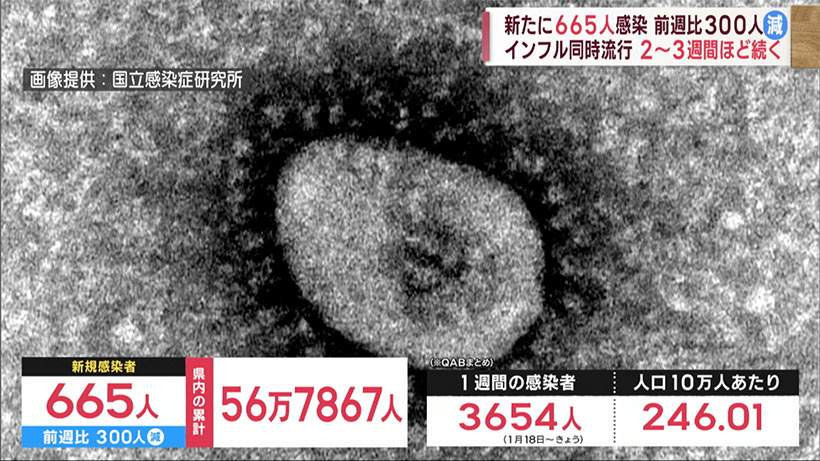 沖縄　新型コロナ新たに６６５人感染　インフル同時流行２～３週間は警戒